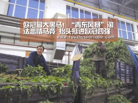 欧冠最大黑马!“青东风暴”淘汰悲情马竞 抬头挺进欧冠四强“竞猜攻略”(图4) 世界杯投注