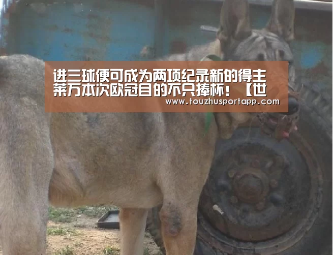 进三球便可成为两项纪录新的得主 莱万本次欧冠目的不只捧杯!【世界杯盘口】(图1) 世界杯投注