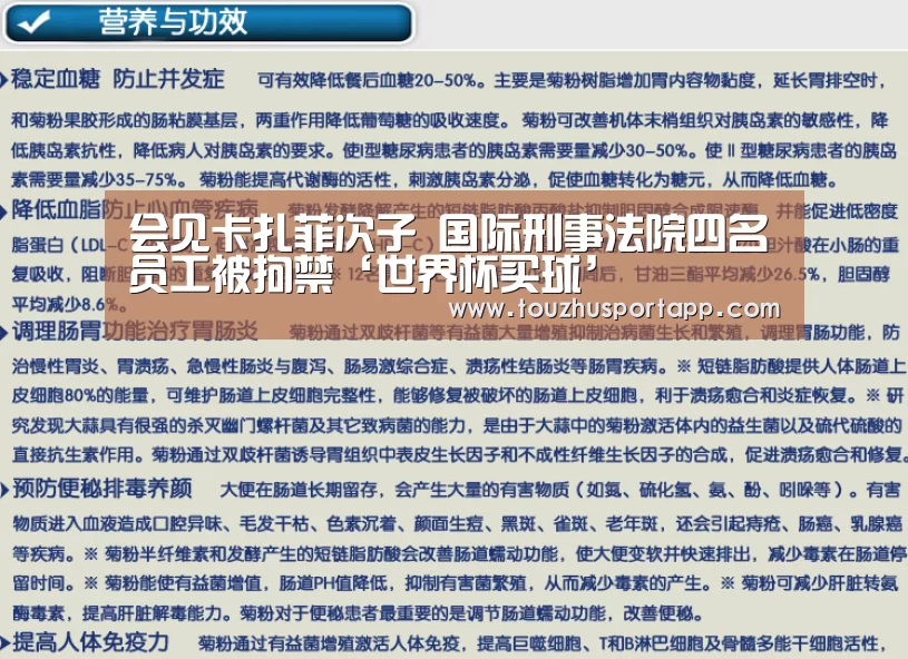 会见卡扎菲次子 国际刑事法院四名员工被拘禁‘世界杯买球’(图1) 世界杯盘口