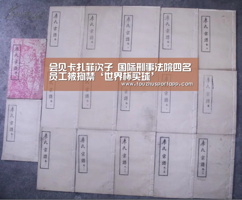 会见卡扎菲次子 国际刑事法院四名员工被拘禁‘世界杯买球’(图3) 世界杯盘口