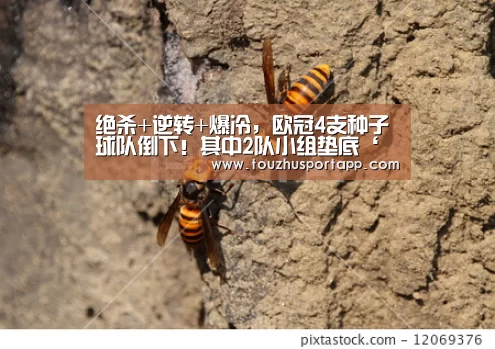 世界杯买球