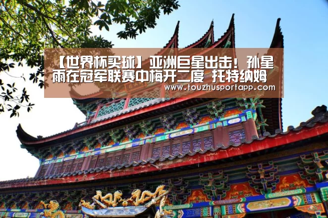【世界杯买球】亚洲巨星出击!孙星雨在冠军联赛中梅开二度 托特纳姆遭受了5-0的残酷进攻(图3) 世界杯买球