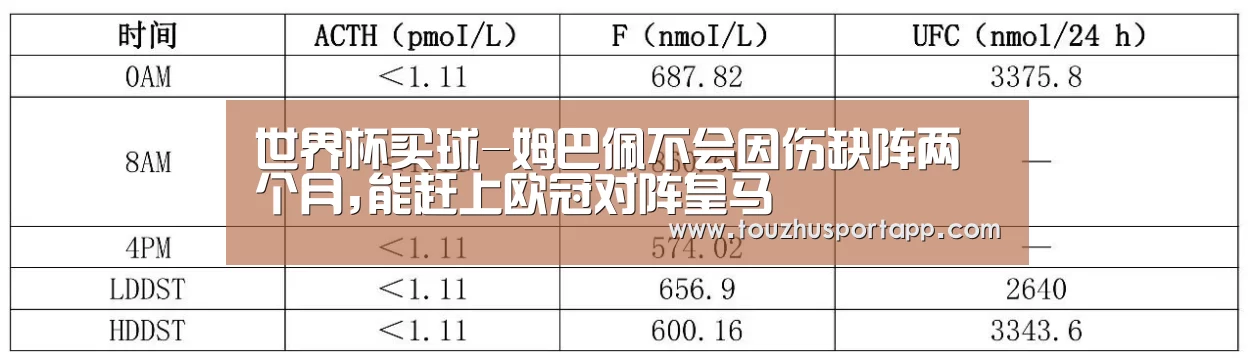 竞猜攻略
